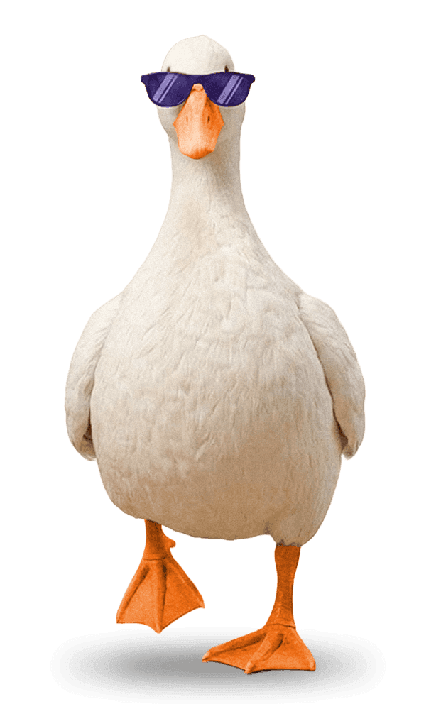 Mascote deckboost